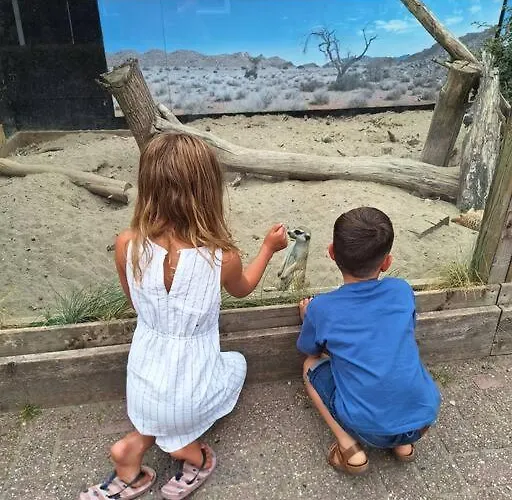 Family Wellness 4 Personen Zuid-holland! Ooltgensplaat